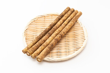 白背景にゴボウ