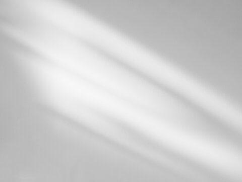 Shadow Background wall Light white Abstract Backdrop Sunlight Sun Mockup Overlay Minimal Summer Gray Photography Black Modern Art Architecture Surface Bright Shape Leaves Branch Nature Smoot Desight.