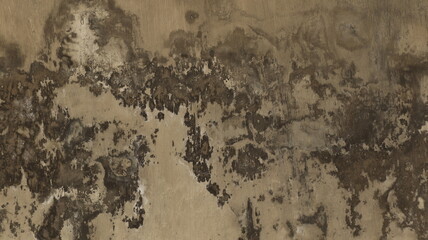 the walls of the house are painted white mossy blue