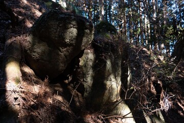 木漏れ日・岩