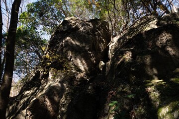 木漏れ日・岩003