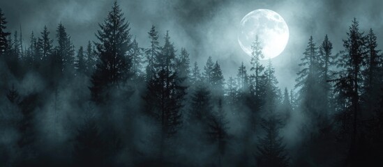 Moonlit forest silhouette.