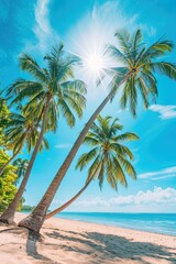 Coconut palm trees on the beach. Sunny summer day with blue sky and clouds on background. Vacation in a tropical paradise. Space for text.