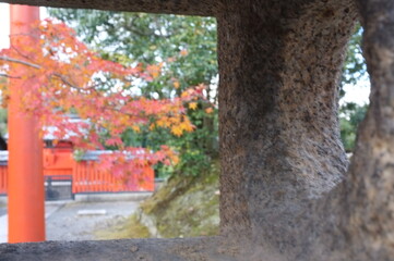 【京都】嵐山の紅葉　灯籠から覗いた八幡宮の鳥居