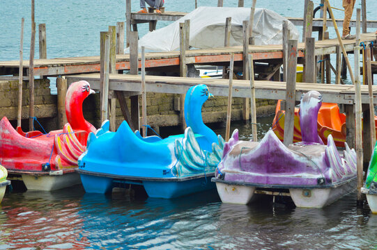 Rear View Of Floating Swan Paddleboats Used For Recreational Transportation On The Lake, Anchored At The Lakeside Dock