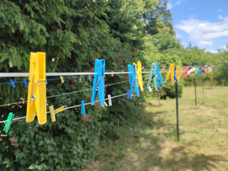 Fototapeta na wymiar Colored laundry clothespins plastic. Hanging on clothesline, outdoors