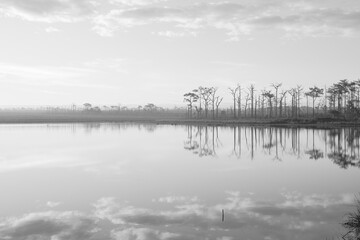 Landscape blue nature of Pairat Thanchai Reservoir (Wang Kwang) with Pine tree in the Morning Sunrise at Phu Kradueng National Park - Peaceful and Calm view - Black and White Color Pattern