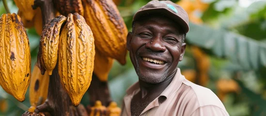 Foto op Canvas Content African entrepreneur appears pleased with cocoa bean from own plantation. © 2rogan