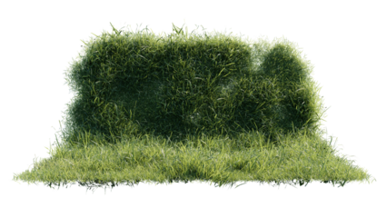 grass and flower backdrop