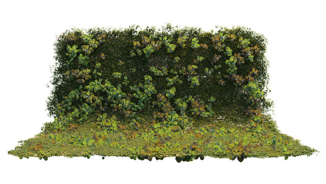 grass and flower backdrop, grass and flower background, flower background, beauty backgroup, isolate grass and flower