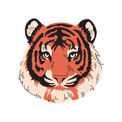 Tiger head Concept Hand-drawn
