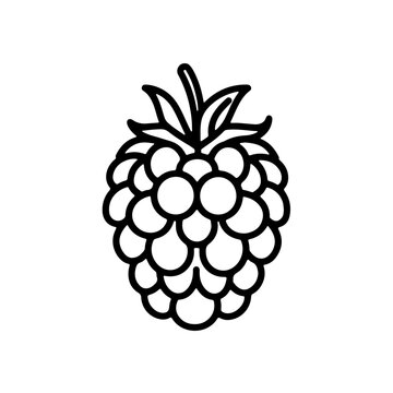 Minimalistic Raspberry Icon