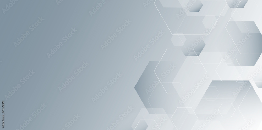 Poster abstract gray hexagon or digital technology background. modern hexagon background vector illustratio