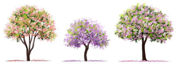 Vertor set of spring blossom tree,bloomimg plants side view for landscape elevation and section,eco environment concept design,watercolor illustration,colorful season