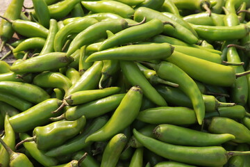 fresh green chilli at market
