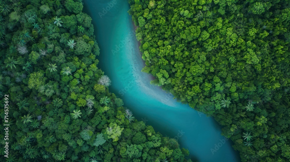 Poster an aerial view of a river in the middle of a forest with a blue river running through the middle of 