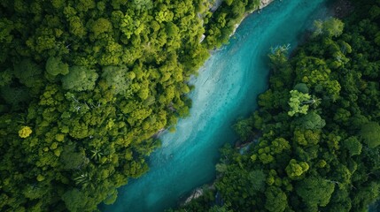  an aerial view of a river in the middle of a forest with blue water in the middle of the river and green trees on both sides of the riverbank.