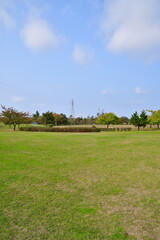 Fototapeta na wymiar 秋の島見緑地公園（新潟県）