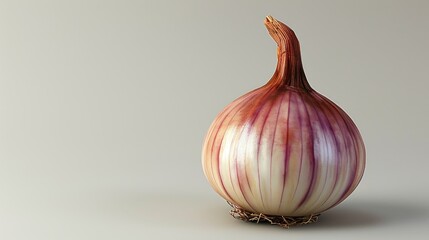  a red and white onion sitting on top of a white counter top in front of a gray wall and a gray wall behind the onion is in the center of the photo.