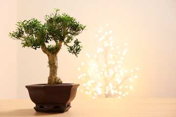 Beautiful bonsai tree in pot on wooden table, space for text