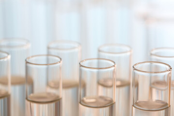 Laboratory analysis. Many glass test tubes on blurred background, closeup