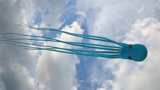 Soaring kite blue octopus in blue sky at summer day