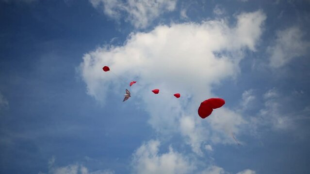 Soaring bright kites Bird and Hearts in blue sky at summer sunny day