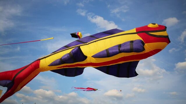 Soaring bright kite Big fish in blue sky at sunny day