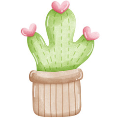 Heart cactus 