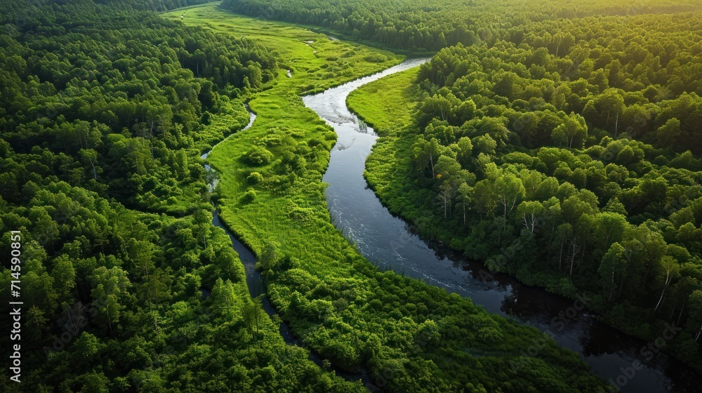 Poster an aerial view of a river running through a lush green forest filled with lots of trees and a river 