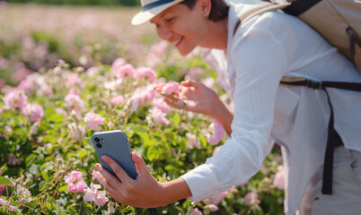 woman enjoying the aroma and make photo in her smartphone in Field of Damascena roses in sunny...