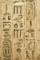 Part of a wall inscription with the oldest religious corpus in the world - Pyramid Texts inside the pyramid of Unis, V Dynasty, Saqqara, Egypt