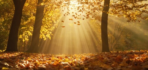  the sun shines through the trees in a forest filled with fallen leaves and leaves on the ground, with the sun shining through the trees and leaves on the ground.