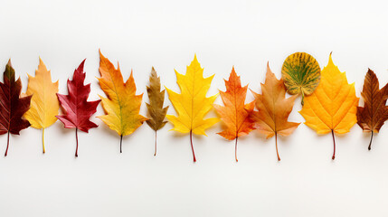 Vibrant Autumn Leaves on White Background - Close-Up Foliage Patterns for Seasonal Promotion and Decorative Design, Copyspace for Text and Promotional Content