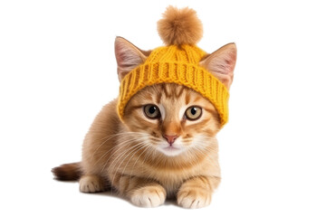 A cute kitten in a yellow knit hat, isolated on a transparent background