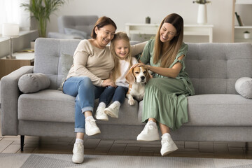 Happy senior grandma, mom and little kid girl stroking dog on sofa, enjoying family leisure with...