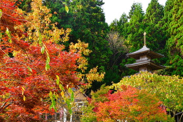 酒呑童子神社の紅葉（新潟県）
