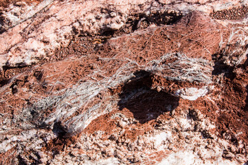 Stonescape