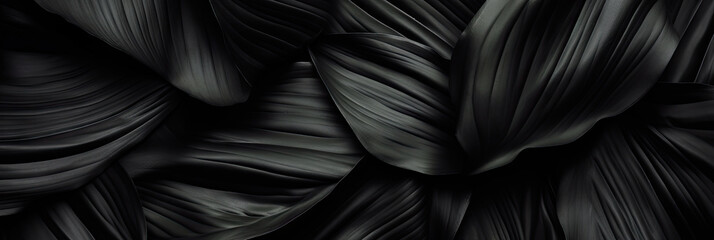abstract black tropical leaves background. Flat lay,banner design
