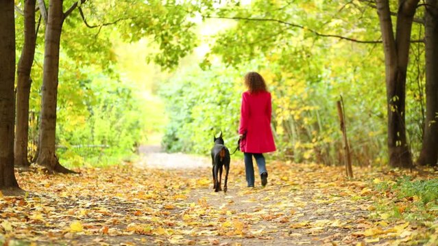 Happy woman in red walks with dog in autumn sunny park