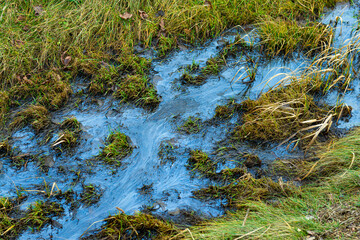 Oil pollution in the water, environmental catastrophe