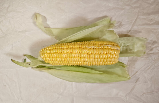 yellow colour corn food with clear background images