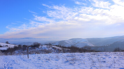 winter landscape with snow