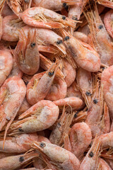 Frozen shrimp in a store. Close up