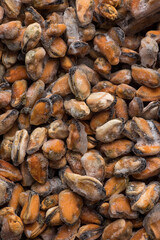 Frozen mussel meat in a store. Close up