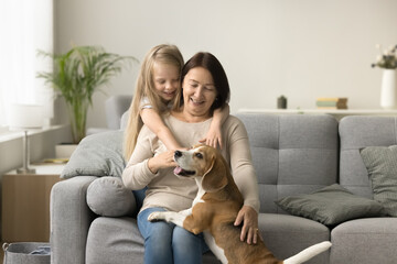 Positive grandma and adorable little granddaughter playing with cute dog at home, hugging on sofa,...