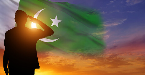 Soldier on Pakistan flag background. National holiday. 3d illustration - obrazy, fototapety, plakaty