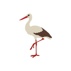 Bango bird on a white background