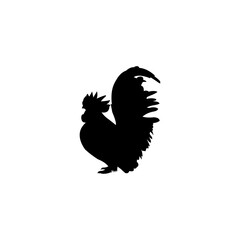 image of a black chicken on a white background