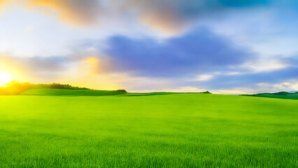 Fototapeta premium Sunset over green field landscape. Beautiful natural agricultural in the summertime 31.